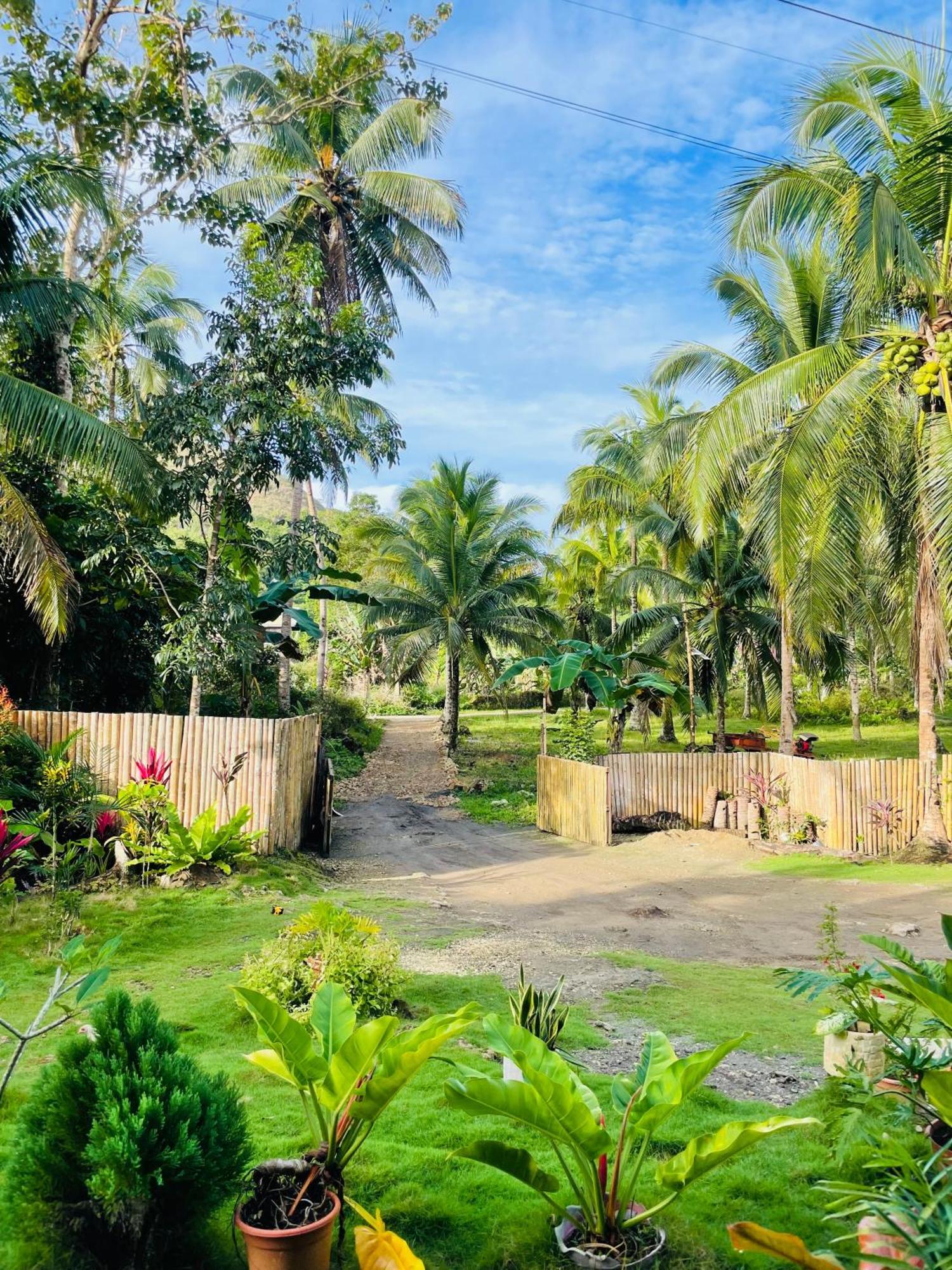 Casa Aguelo Chocolate Hills Bed & Breakfast