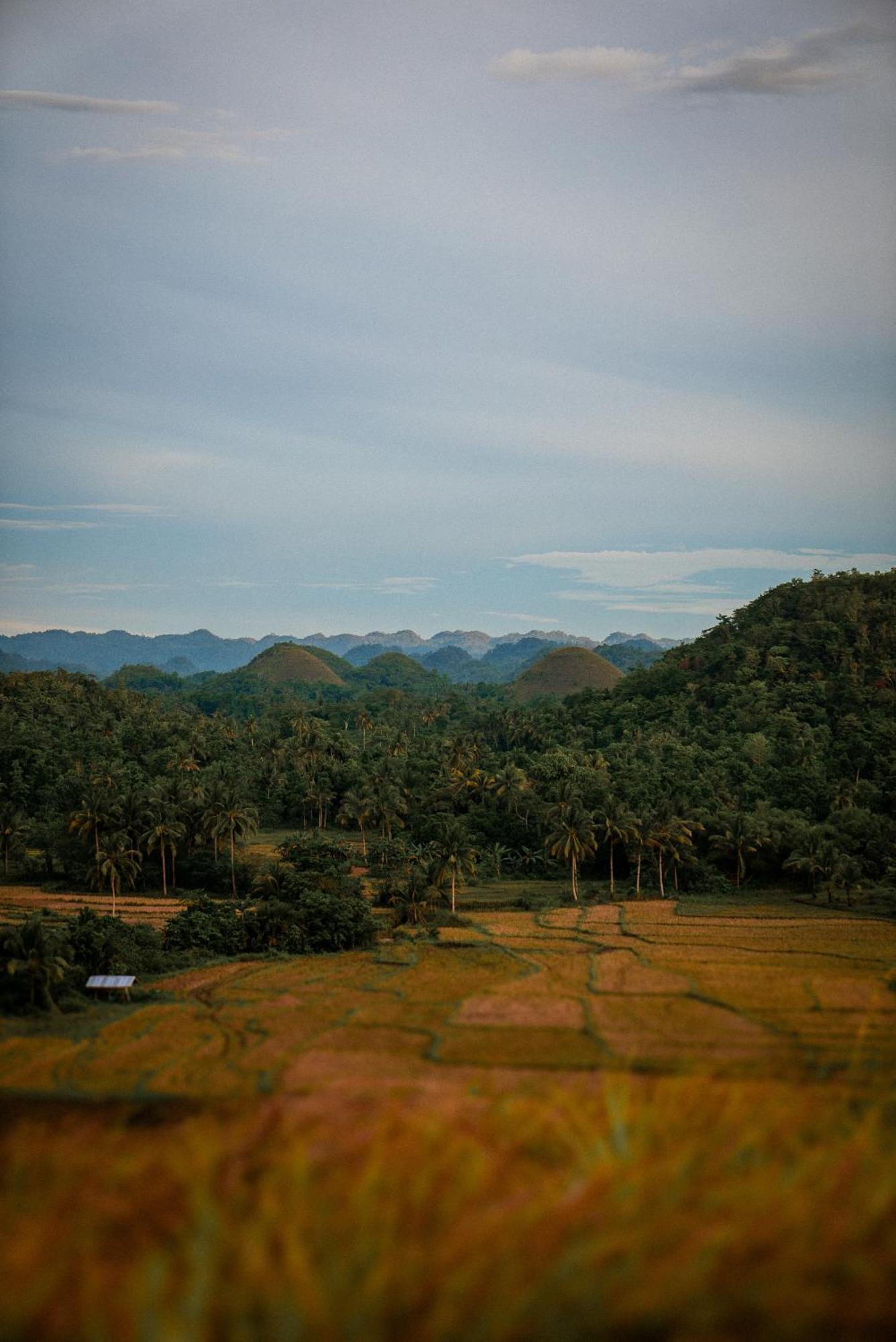 Casa Aguelo Chocolate Hills Bed & Breakfast